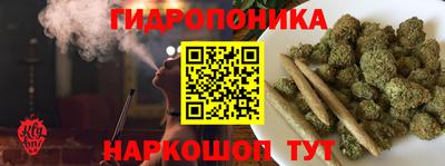 гашик Татарск
