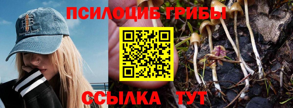 Псилоцибиновые грибы GOLDEN TEACHER Набережные Челны